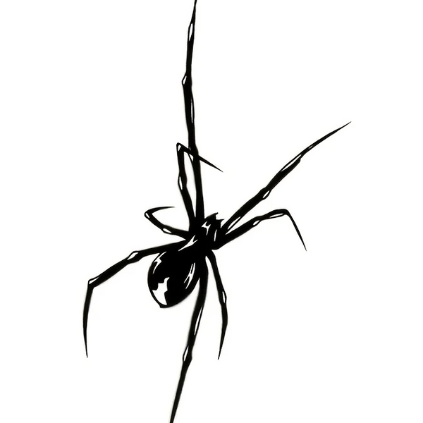 Tatouage temporaire Spider